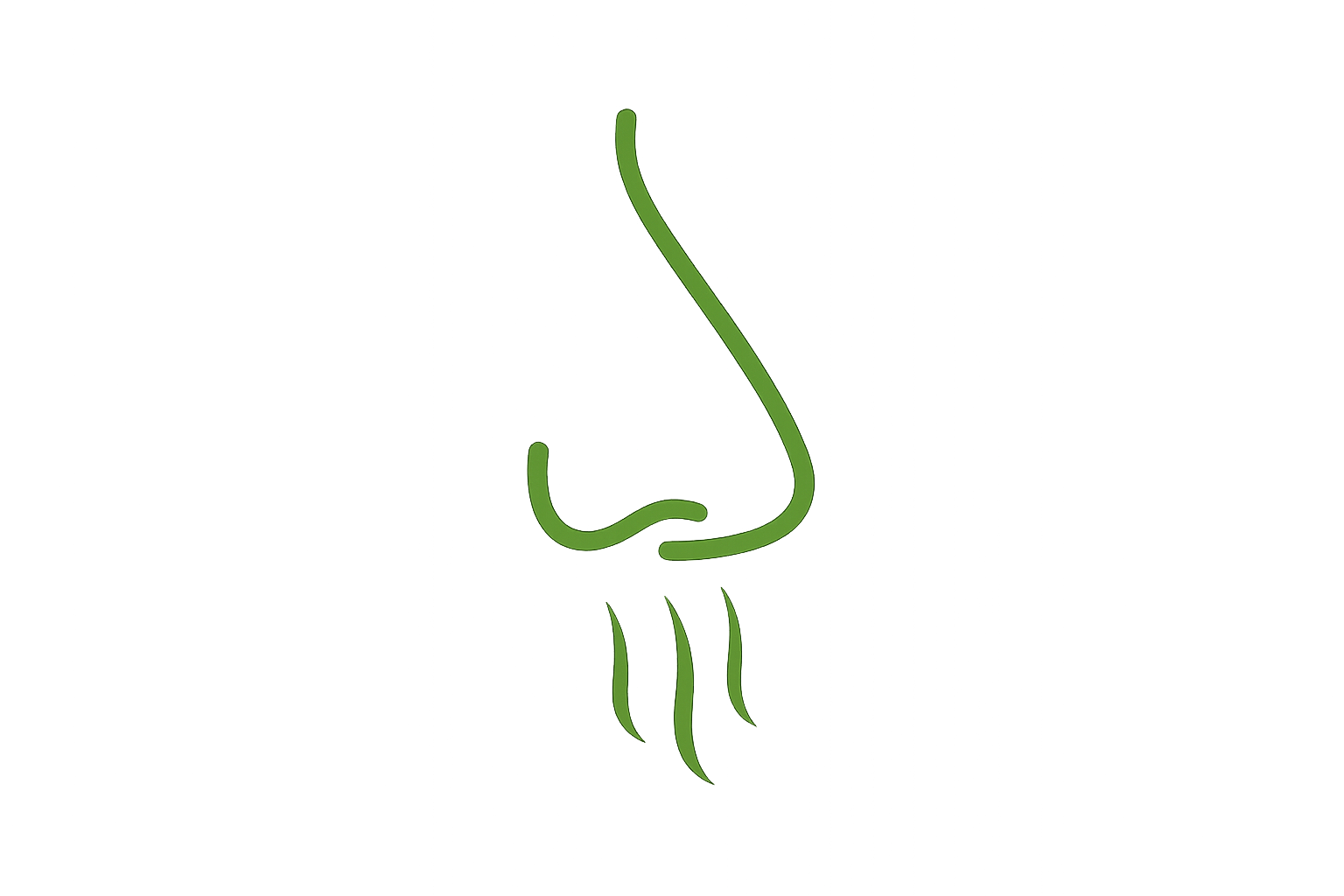 Green icon of a nose on a transparent background